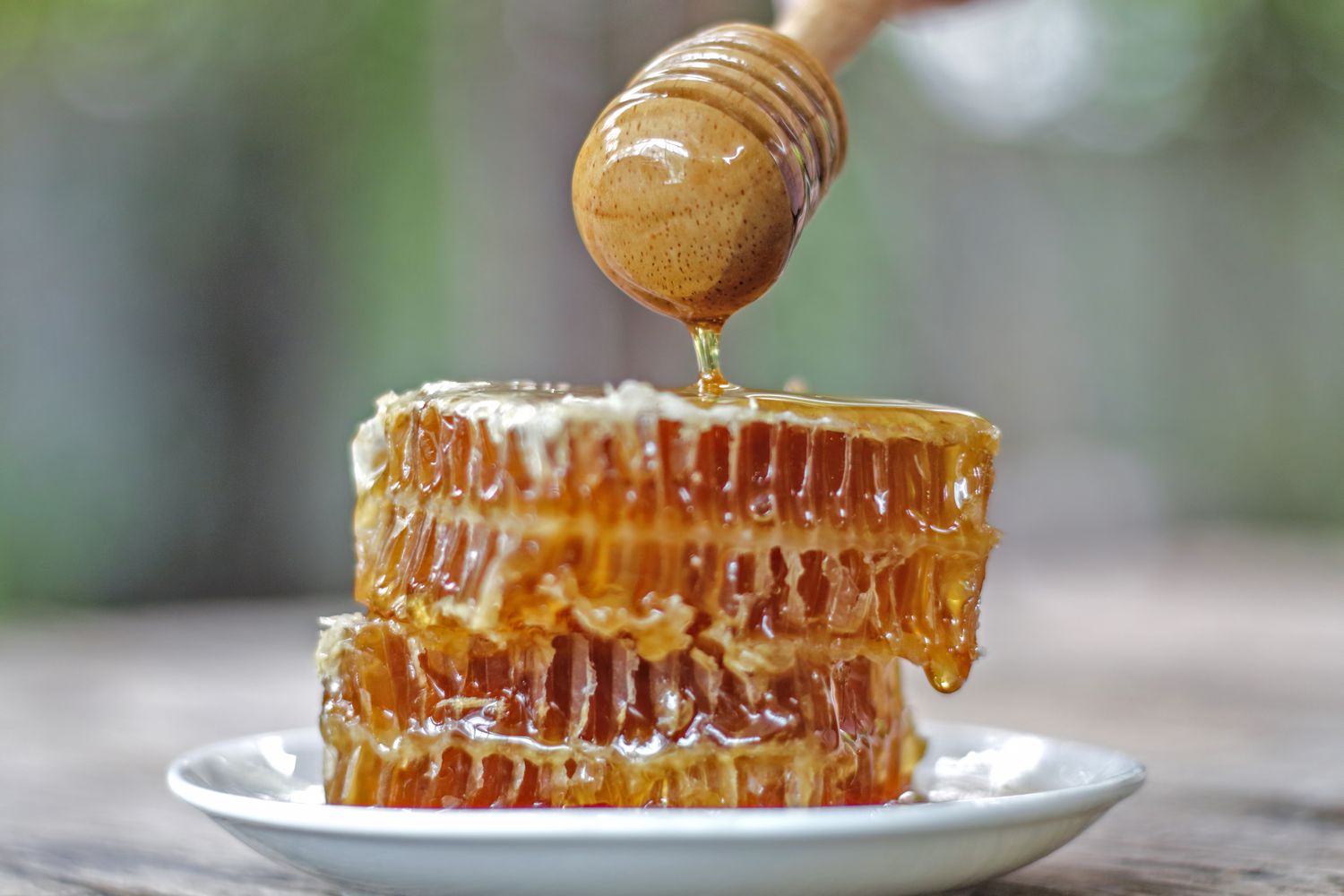 Honey dipper and honeycomb on table