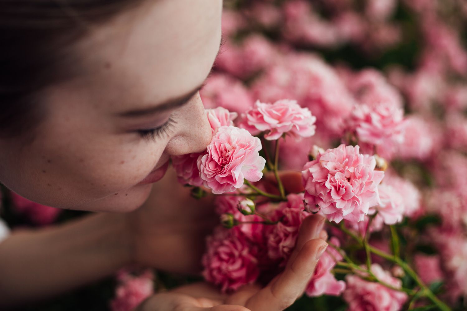 Summer portrait of woman with pink flowers of rose in garden.