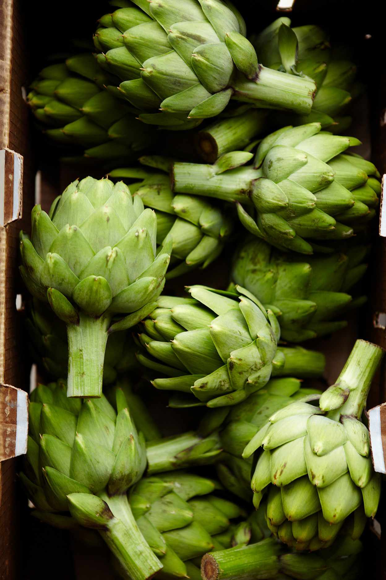 Fresh artichokes