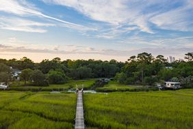 Marsh area