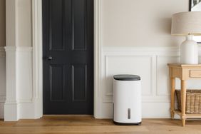 Dehumidifier in stylish home