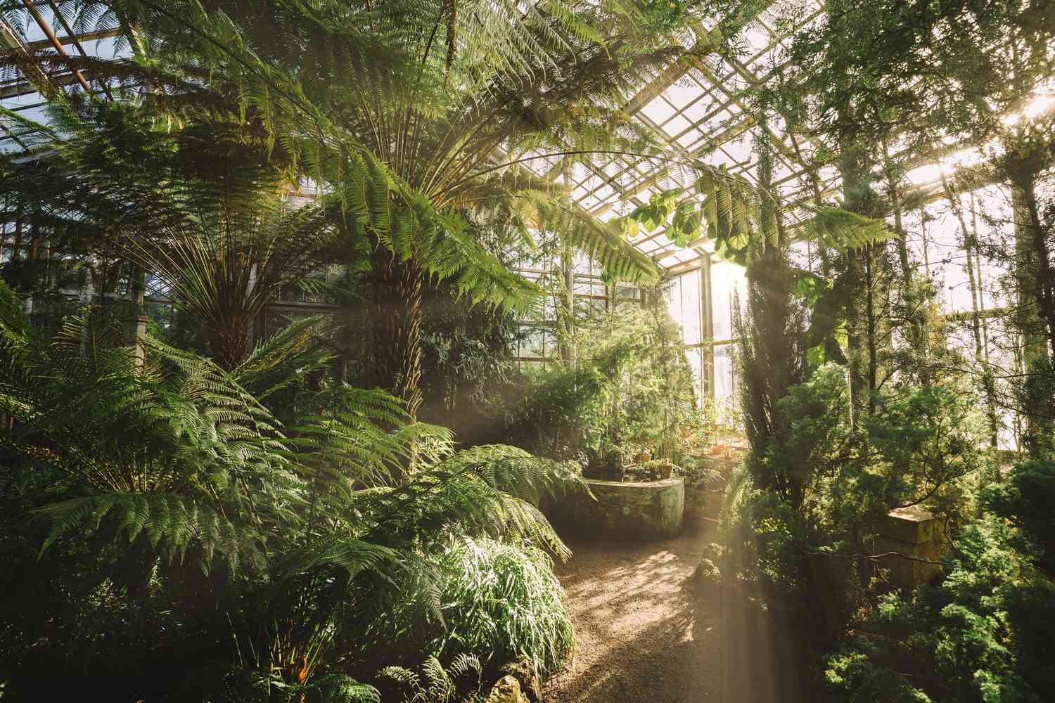 Tropical Greenhouse
