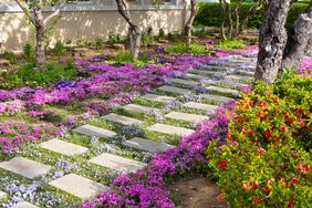 pavers ground cover pathway
