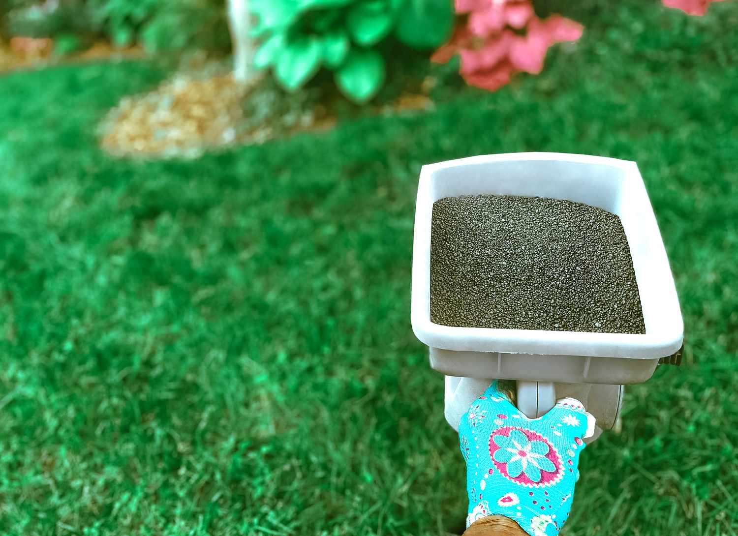 woman holding a lawn seeder wearing garden glove