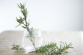 A sprig of rosemary placed in a glass jar filled with water on a cloth-covered surface
