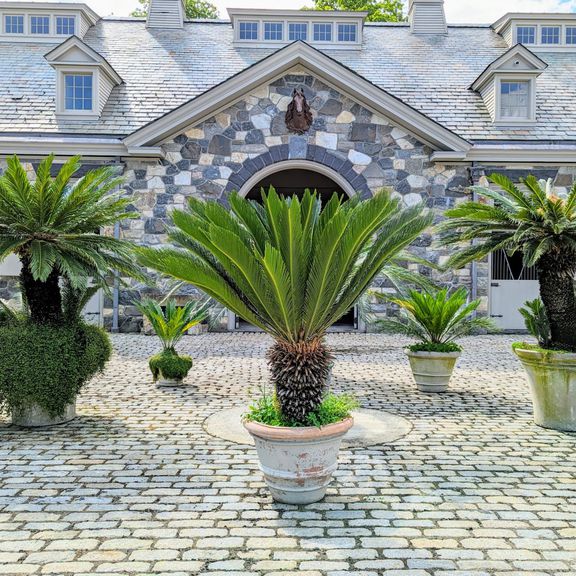 decorvow bedford courtyard