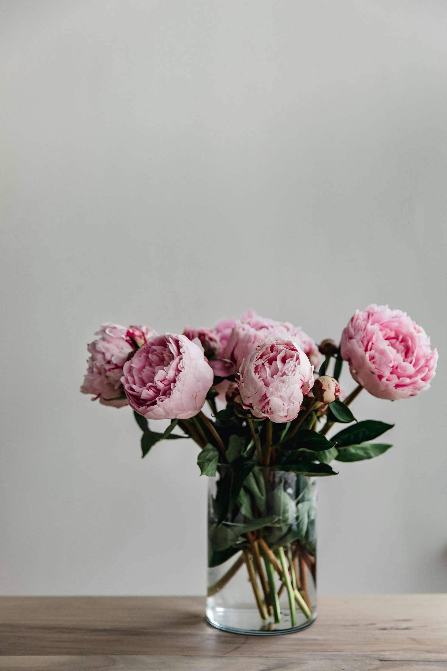 Pink peonies in a glass vase on a wooden table. 