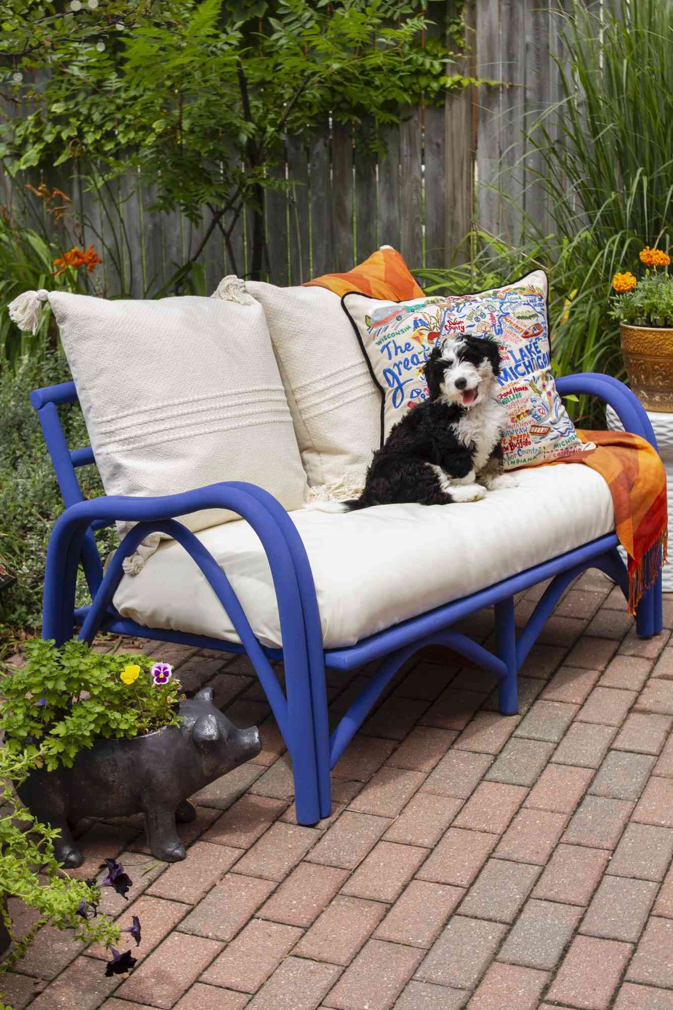 puppy sitting on an outdoor sofa