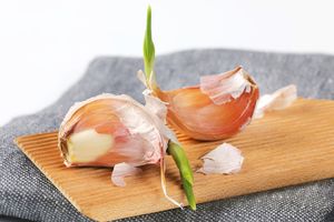 Two sprouted garlic cloves on a wooden surface