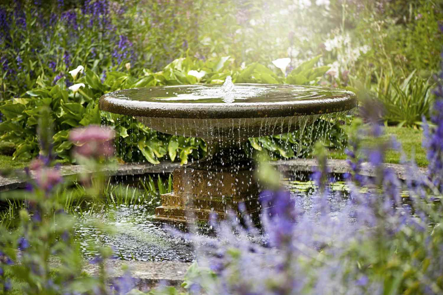 A garden with water fountain in the center