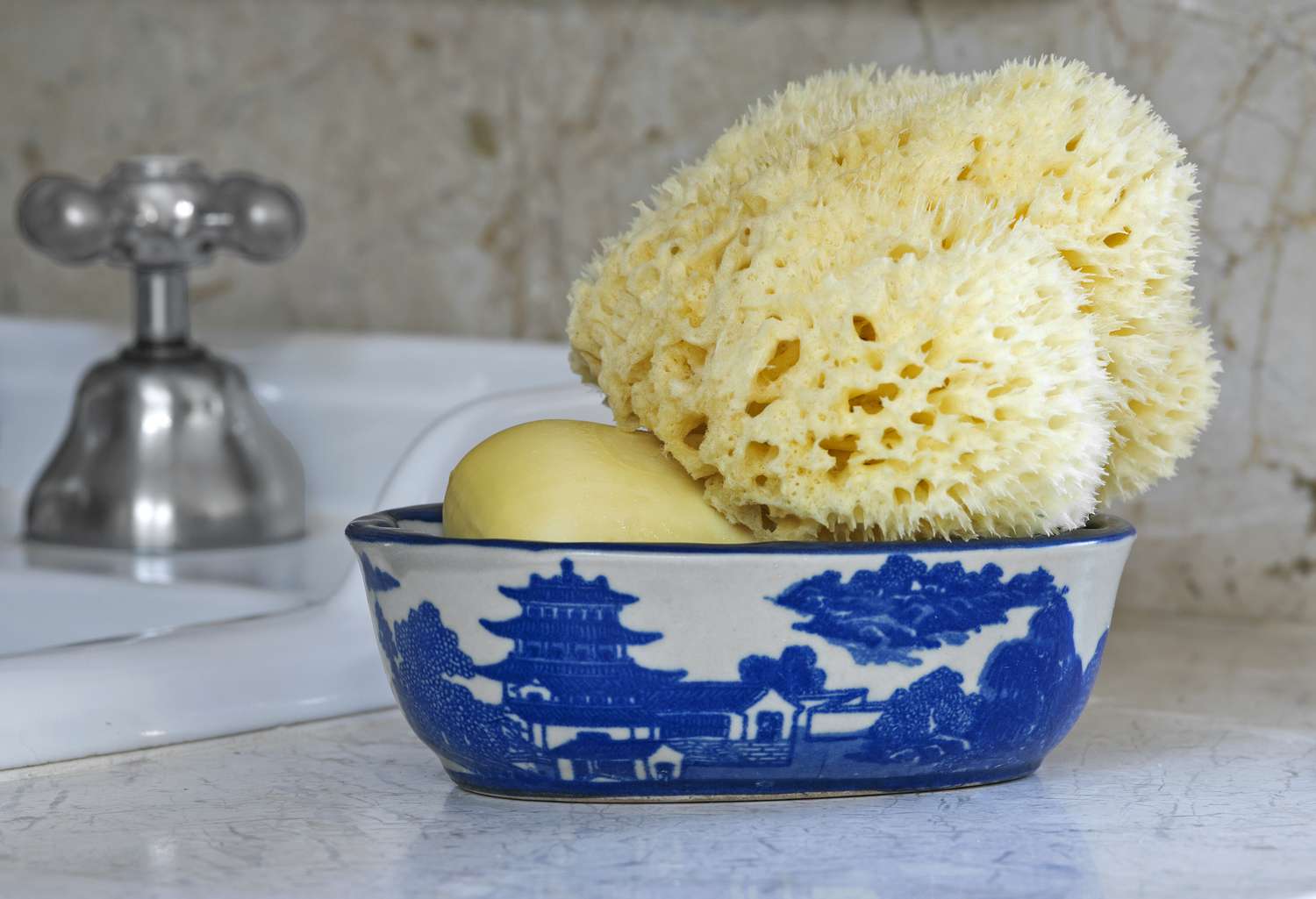 A decorative bowl with a sponge and soap in a bathroom setting