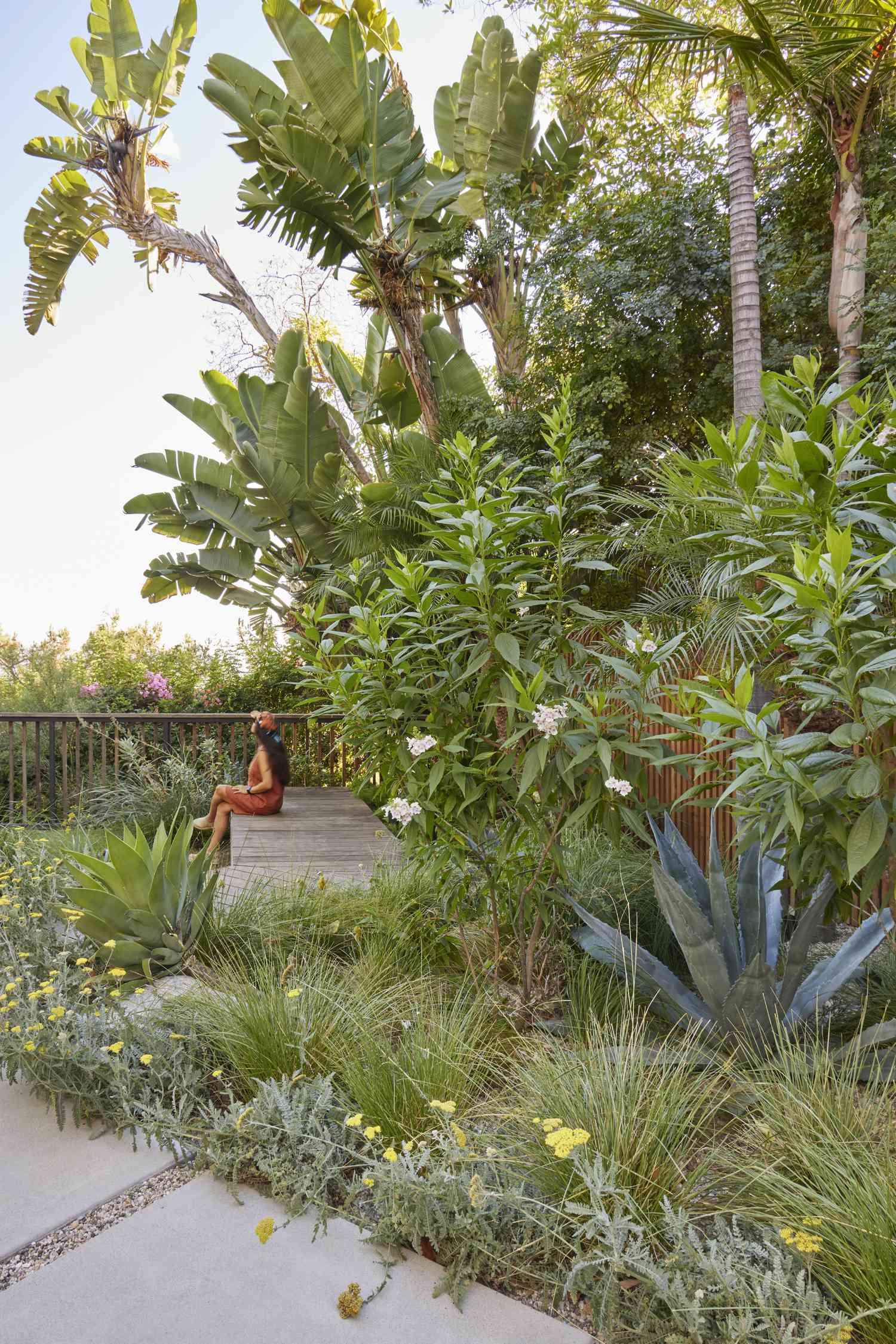 Trees over concrete patio