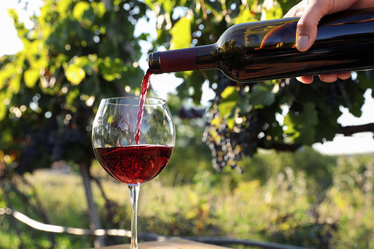 red wine being poured into a wine glass