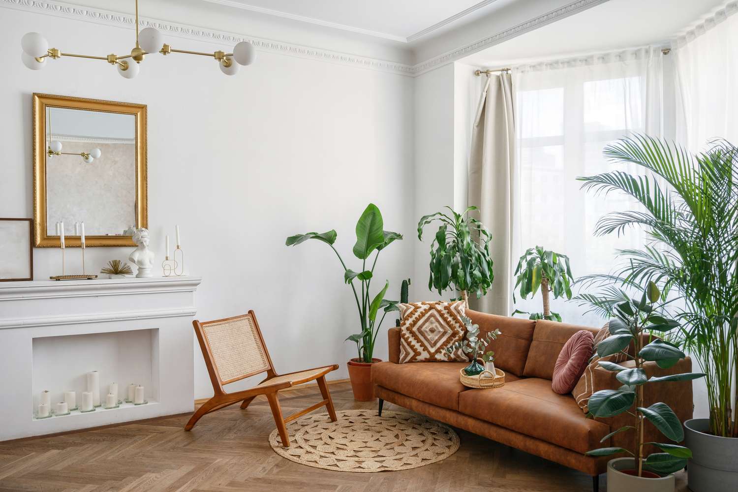 Modern living room with a sofa plants and decor
