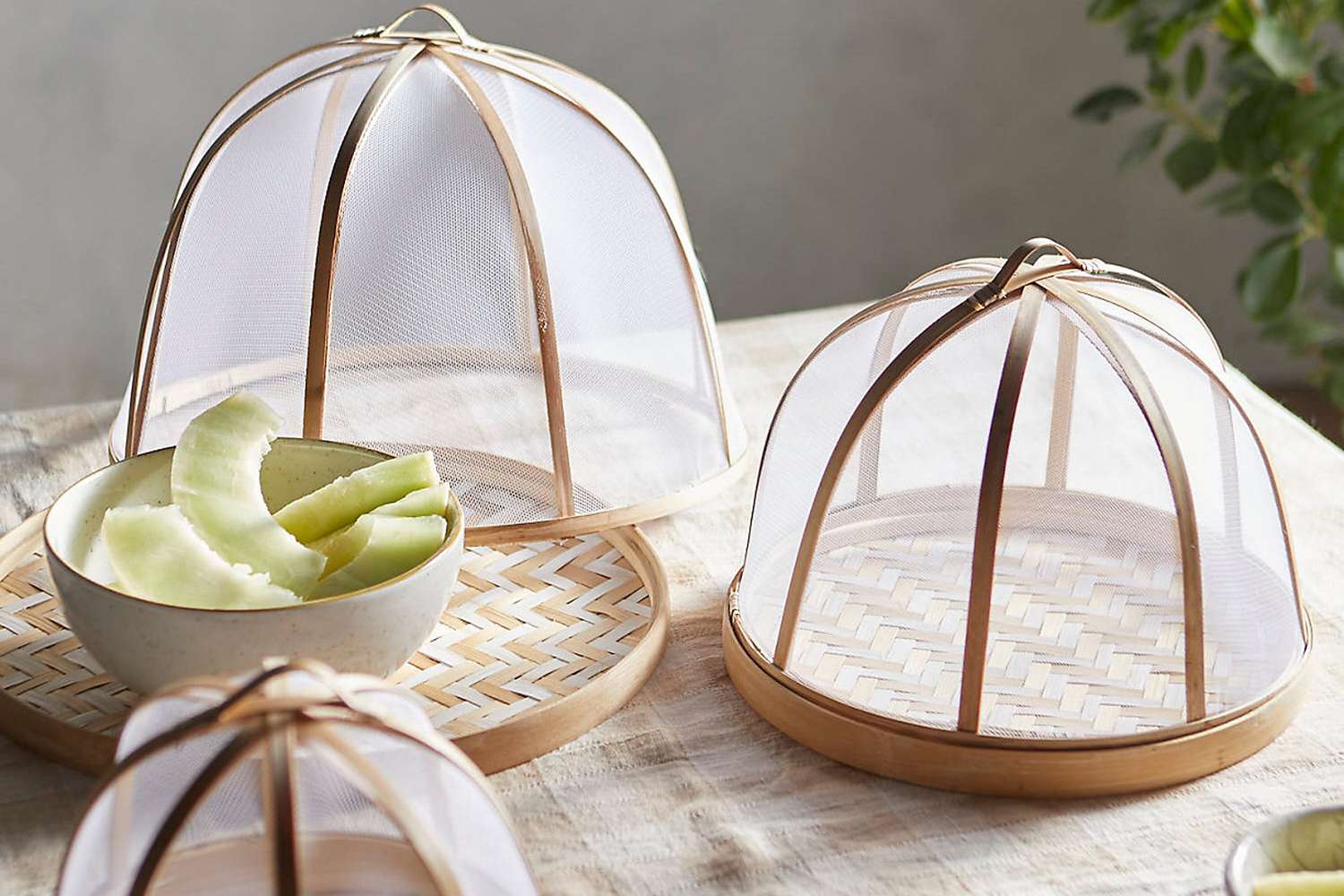 Terrain Bamboo Food cover