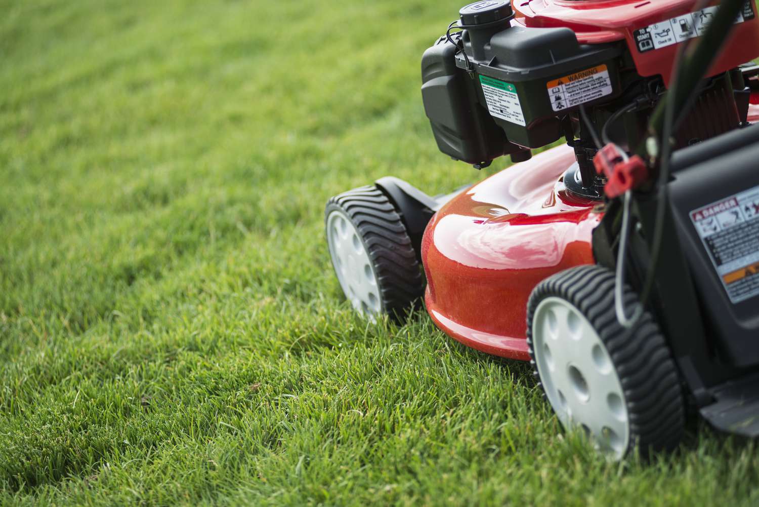 Lawn mower cutting grass