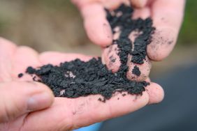 Hands holding and examining charcoal pieces likely for gardening use