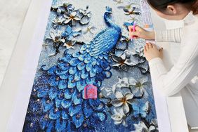 diamond painting artwork of a peacock