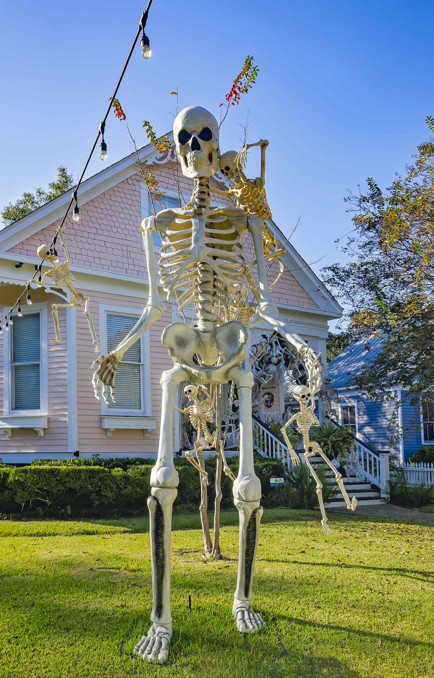A large skeleton decoration in the front yard of a house with a festive setup