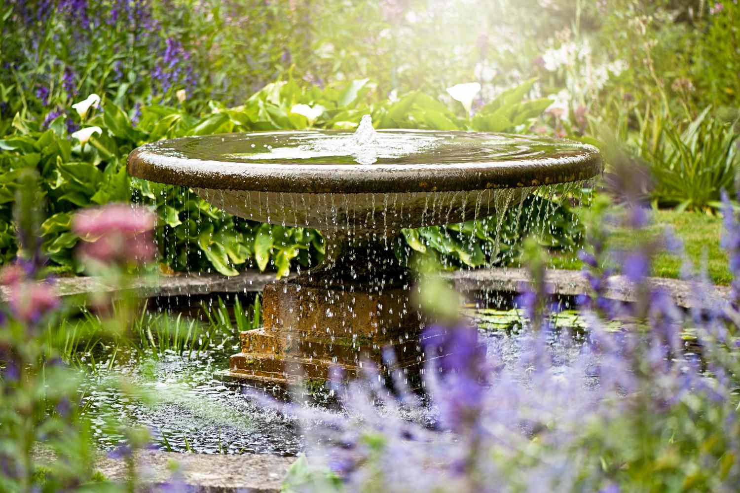 Fountain in garden