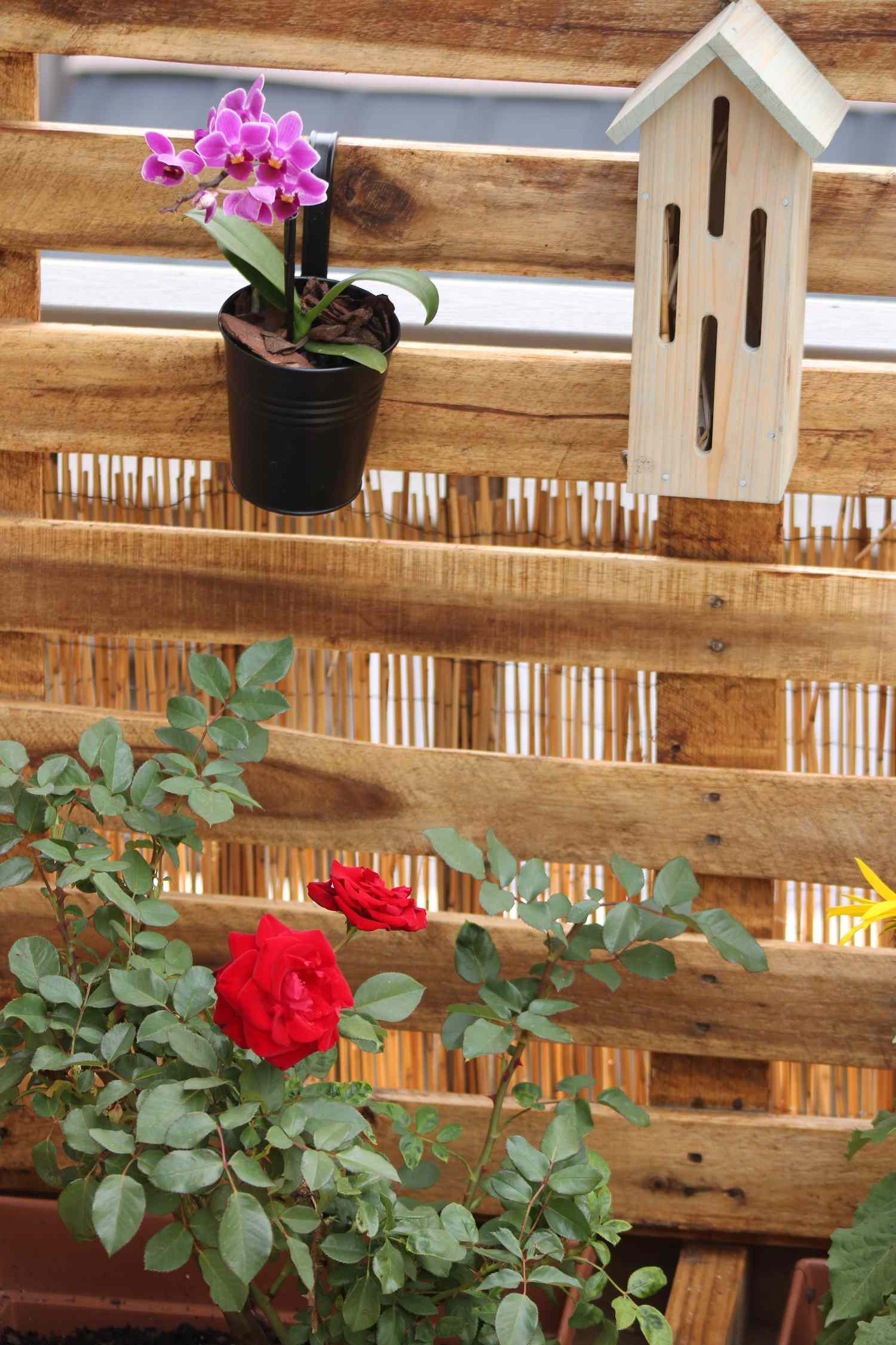 Wooden fence decorated with a pot of pink flowers a birdhouse hanging and a rose bush with red flowers at its base