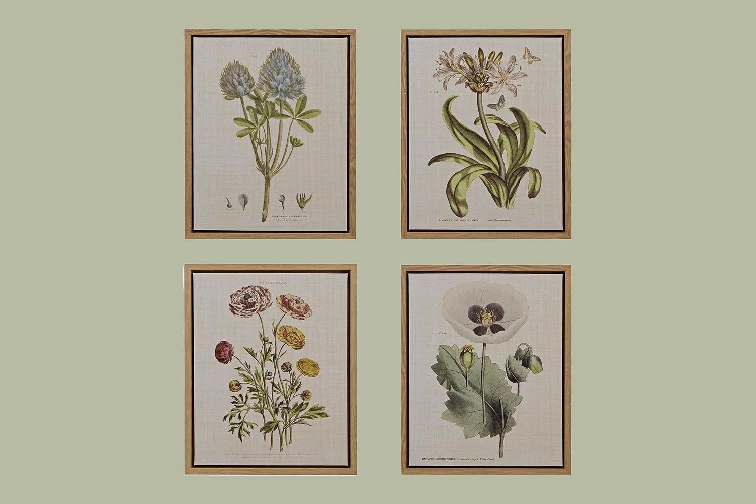 decorvow Botanical Wall Art