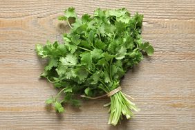 Cilantro