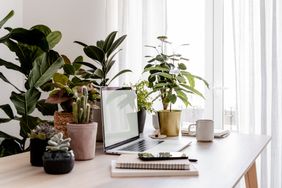 A workspace with a laptop on a desk surrounded by potted plants a notebook and a coffee mug in a welllit room