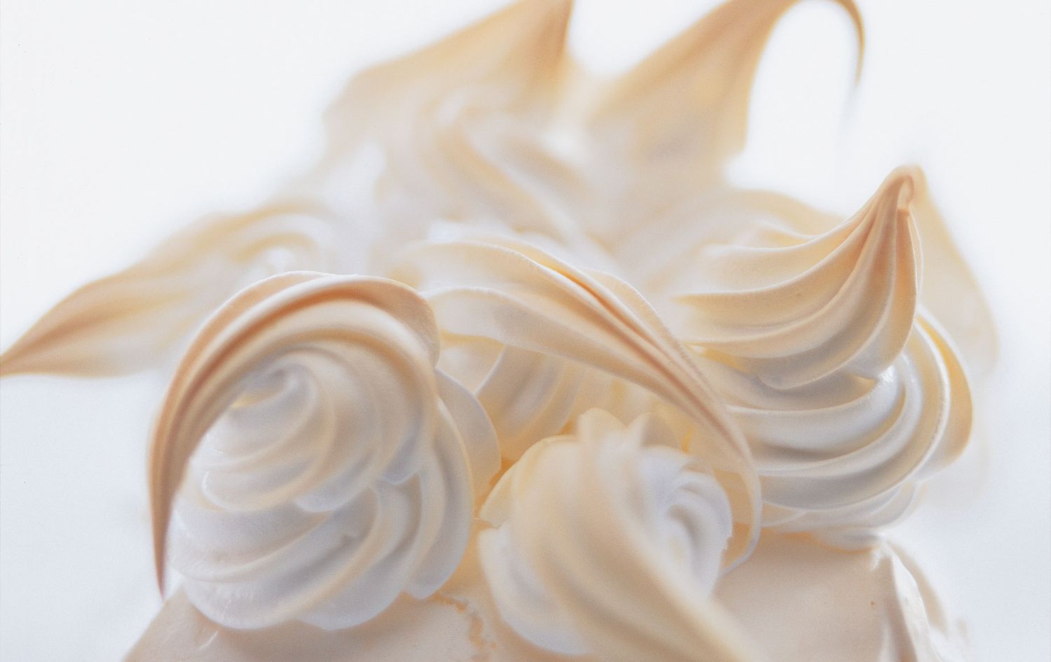 Meringue Detail