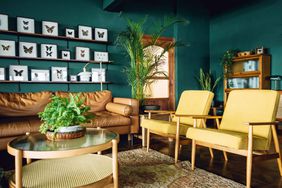 stylish living room interior with green painted walls