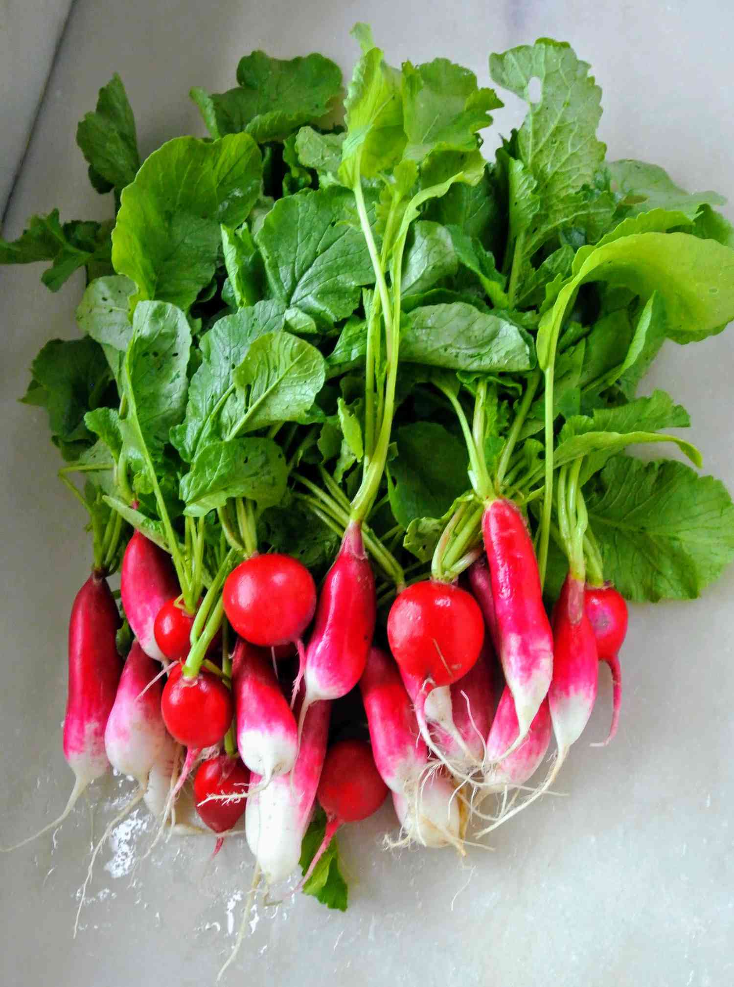 Radish on a table