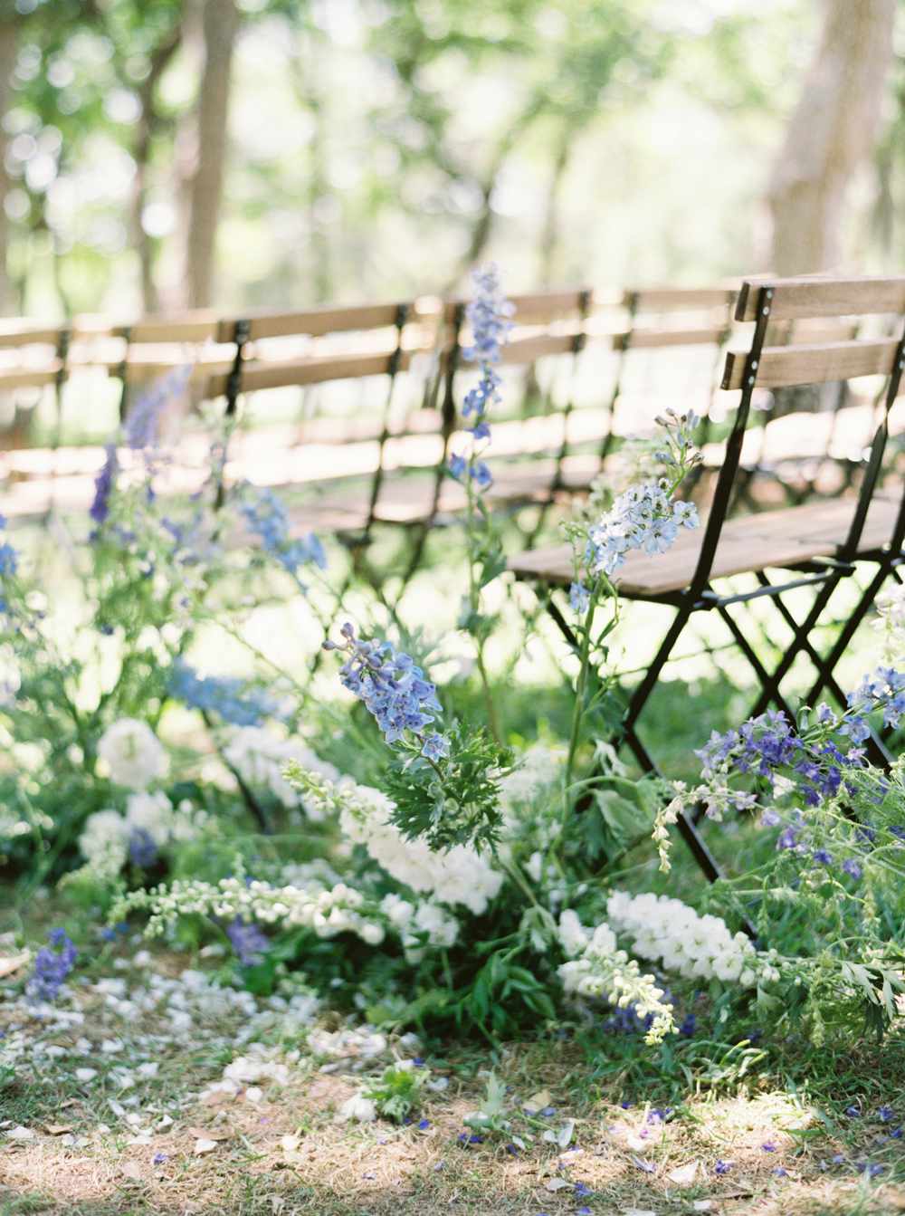 potted plants aisles heather hawkins