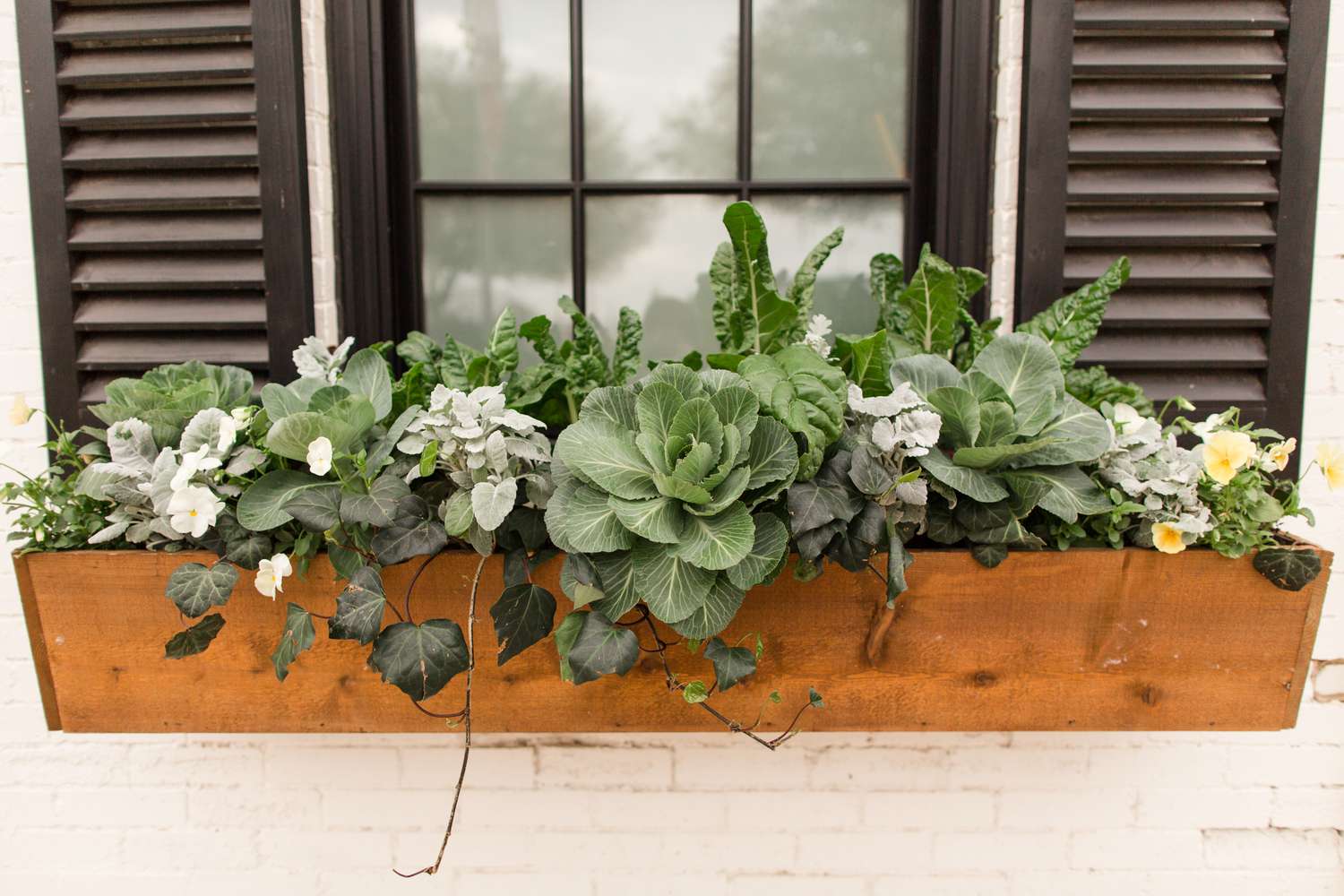 Kale and flowers in window box