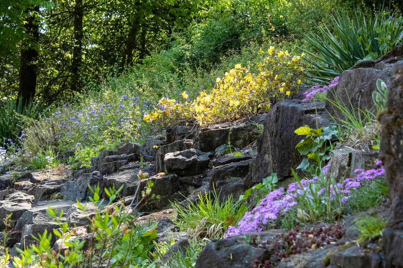 sloped landscape in rock garden