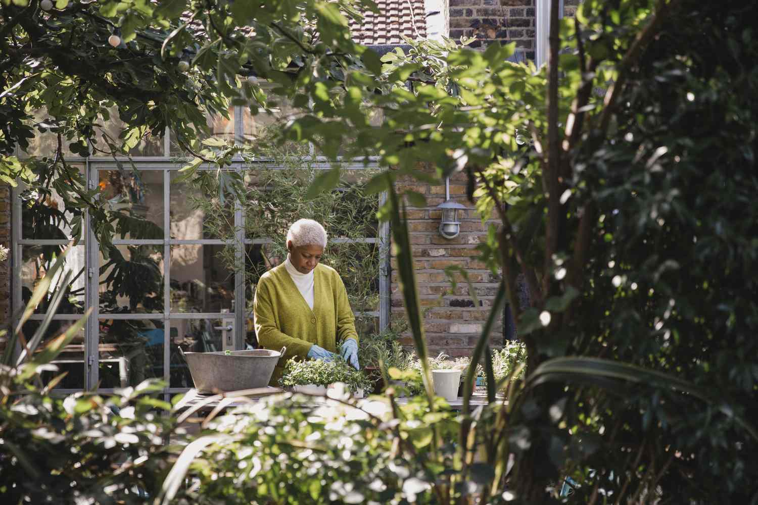 woman planting herbs at garden table