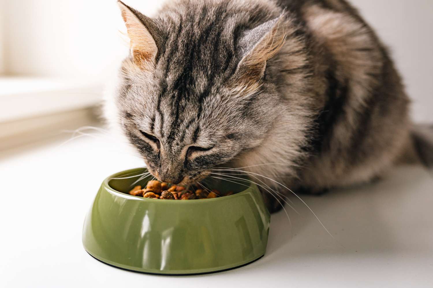 Cat eating food from a green bowl
