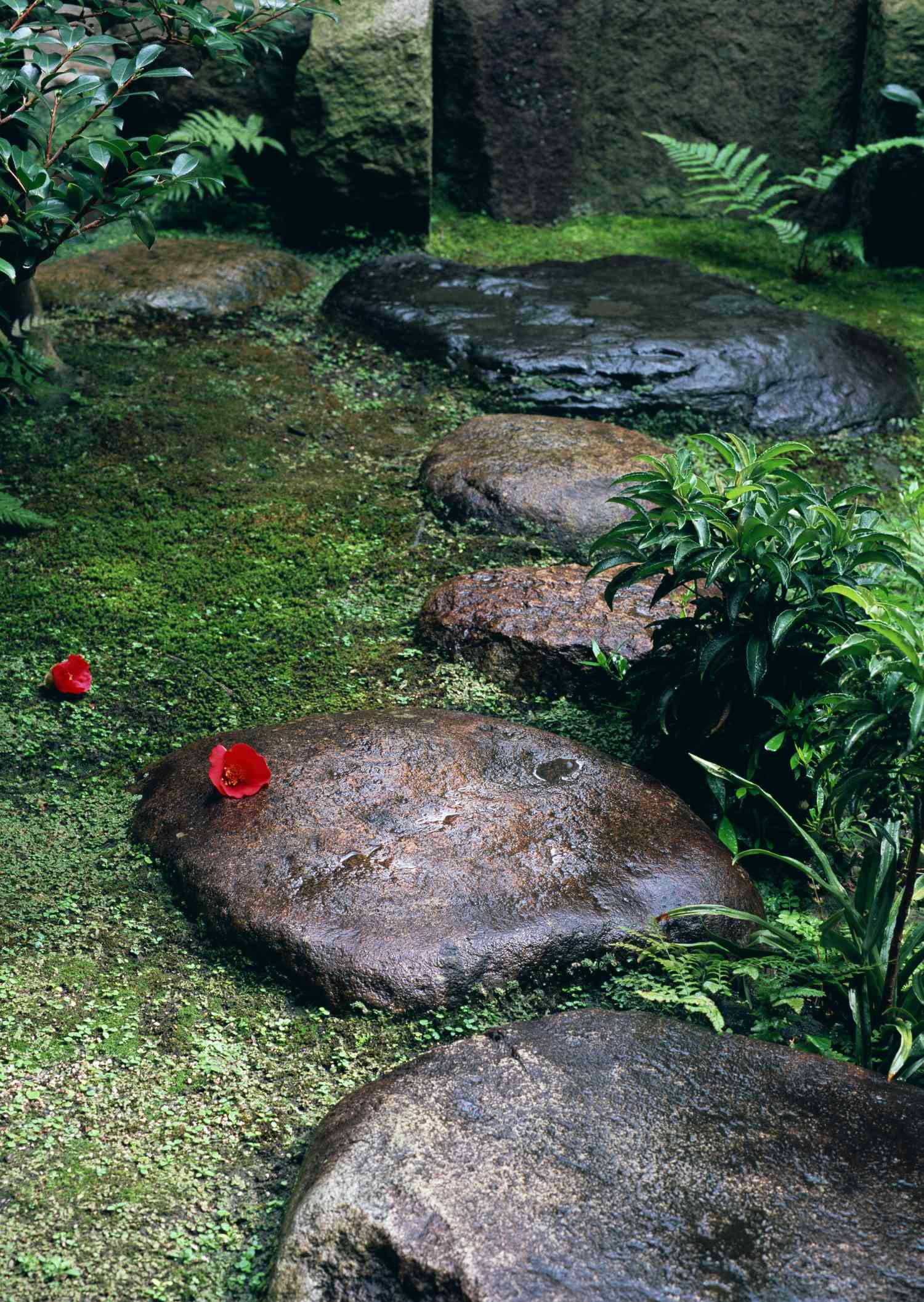 Garden with stepping stones