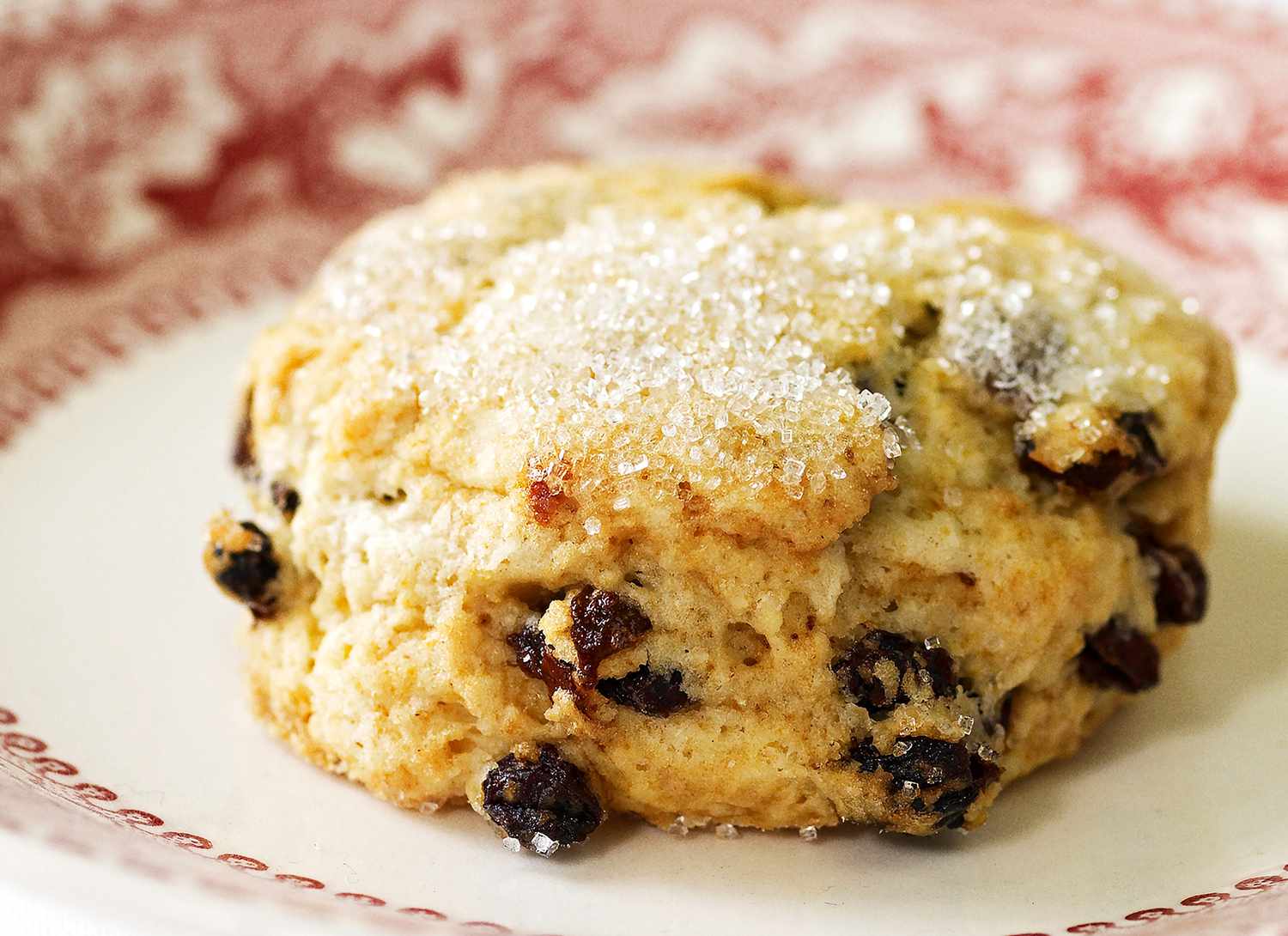 close up of a cream scone on a decorative plate