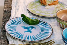 anthropologie mediterranean dish 