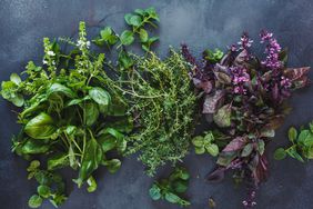fresh herbs including green and red basil, thyme, mint, on dark background