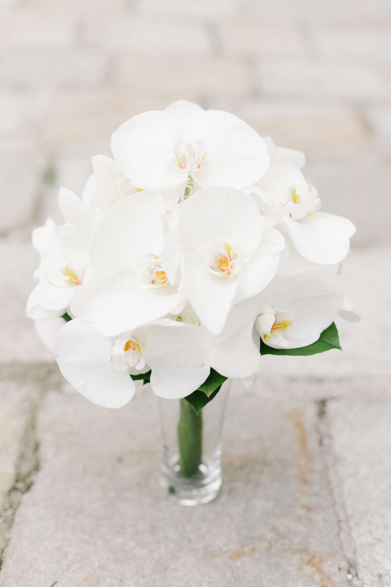 Simple and elegant all-white orchid wedding bouquet