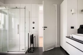 White and black bathroom with shower