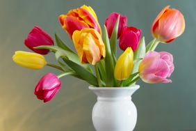 beautiful tulips in white vase on green background