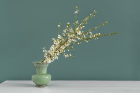 A vase with flowering branches arranged on a white surface against a green background