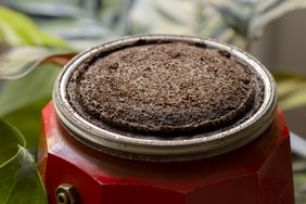 Coffee grounds as organic fertilizer