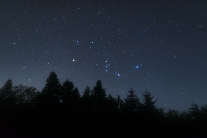 A view of a starry night sky over a silhouetted forest