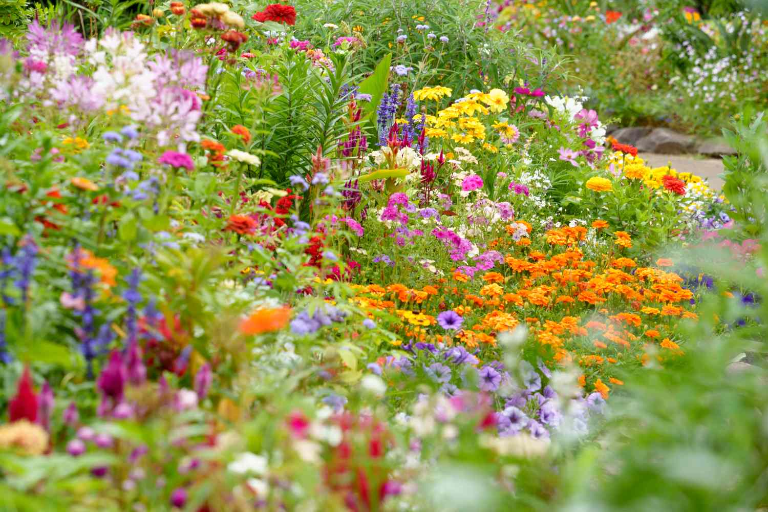 A blooming flower garden filled with various types of flowers and plants