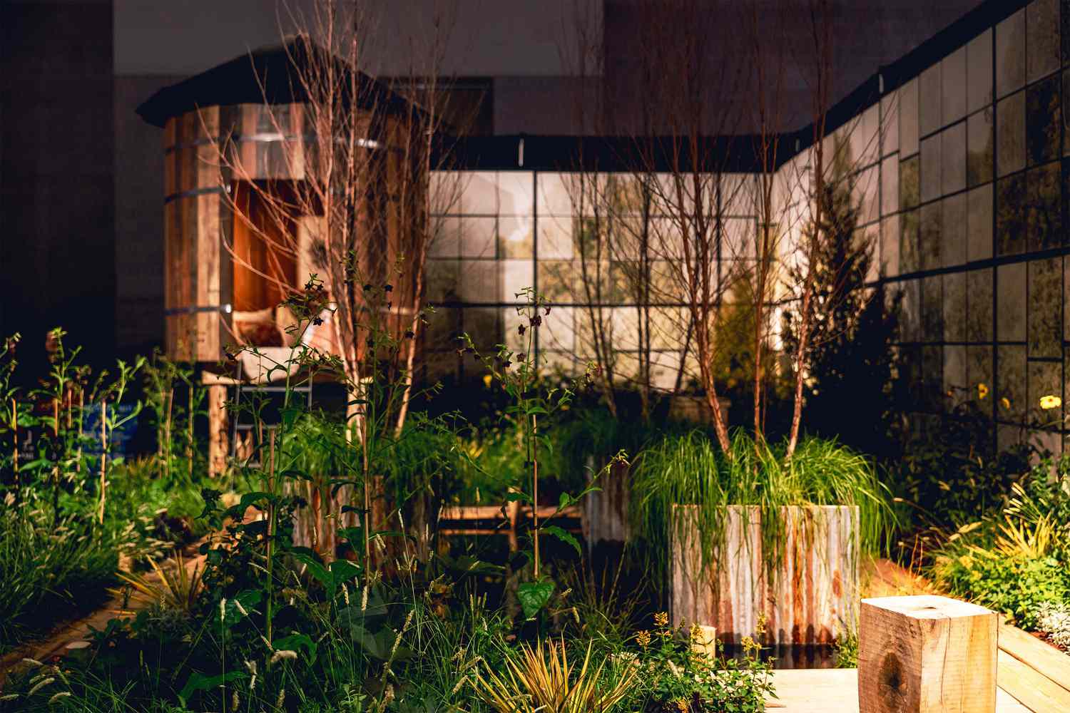 Grass growing in containers