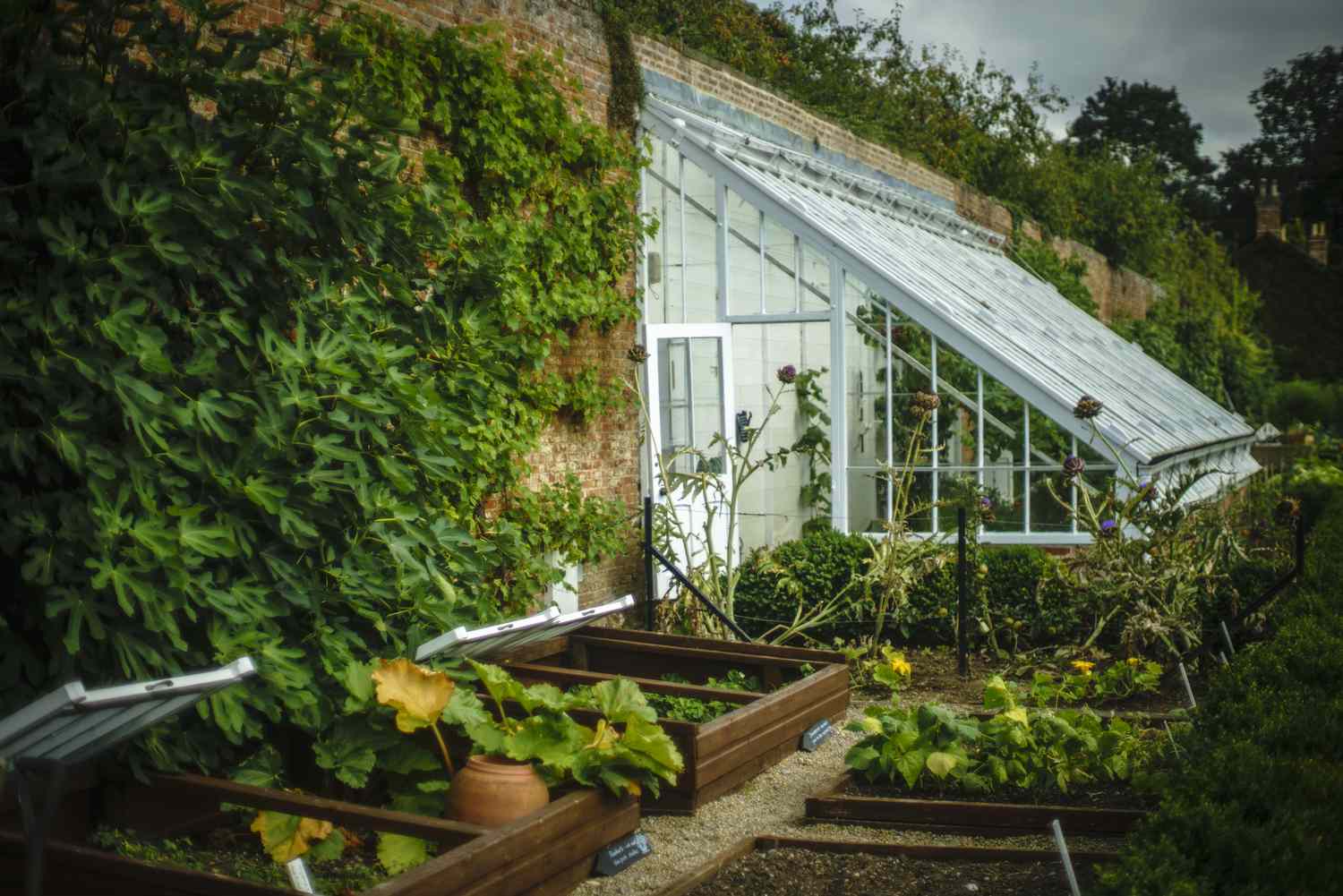 Greenhouse in a Walled English county garden