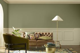 green paint living room